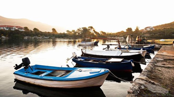 M&oacute;n h&agrave;u nức danh &lsquo;ăn v&agrave;o l&agrave; sung&rsquo; của Croatia - Ảnh 6.