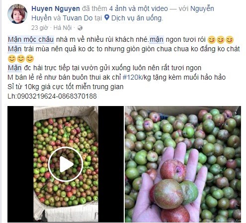 Mận đầu m&ugrave;a gi&aacute; ch&aacute;t 150.000 đồng/kg - Ảnh 3.