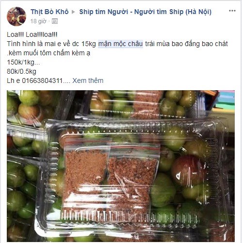 Mận đầu m&ugrave;a gi&aacute; ch&aacute;t 150.000 đồng/kg - Ảnh 4.