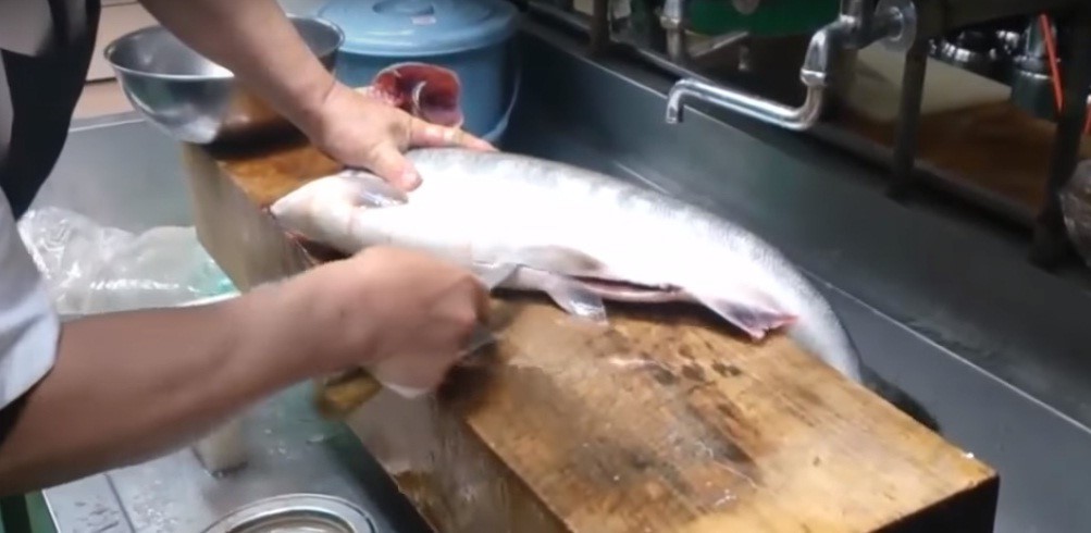 Cận cảnh thu hoạch trứng c&aacute; hồi si&ecirc;u đắt ở Nhật Bản - Ảnh 3.