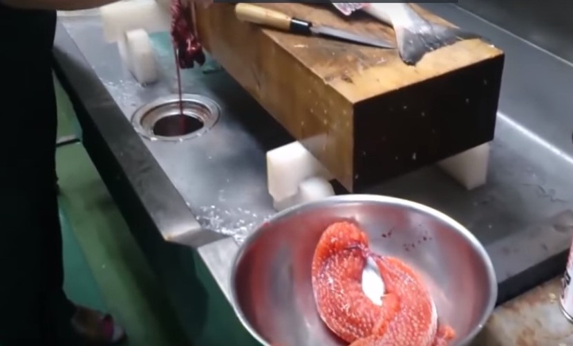 Cận cảnh thu hoạch trứng c&aacute; hồi si&ecirc;u đắt ở Nhật Bản - Ảnh 5.