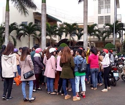 Giáo viên mất việc, do ai?