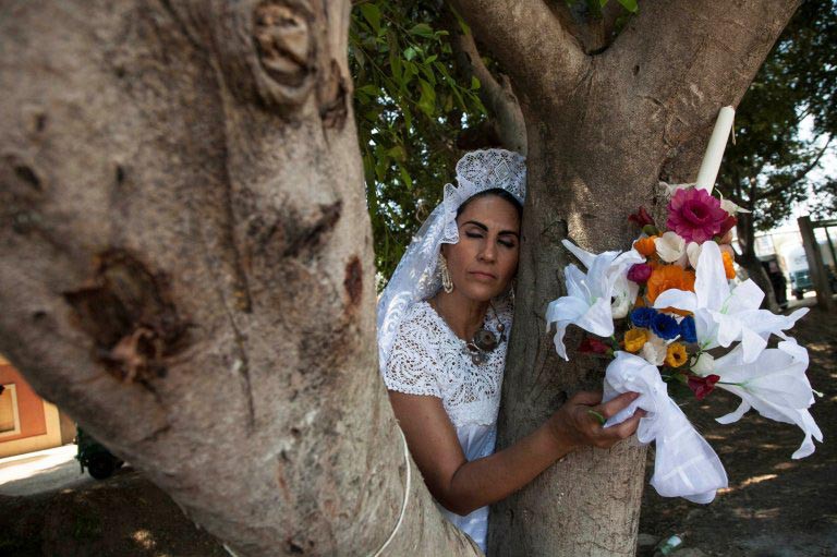Cưới cây làm chồng