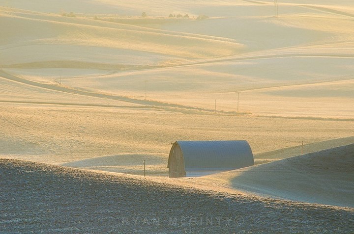 Vùng đất có những thảm cỏ đa sắc màu tuyệt đẹp - Ảnh 7.