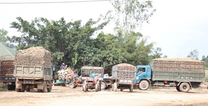 Điều tra vụ việc người dân kéo lên huyện tố bị ép bán nông sản