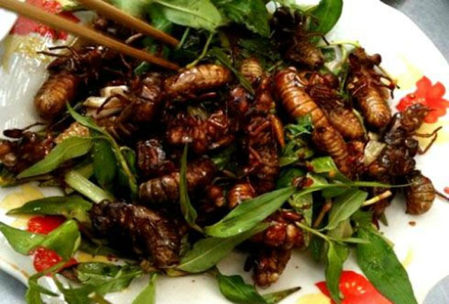 Đặc sản ve sầu ngon nức tiếng ở Bình Phước
