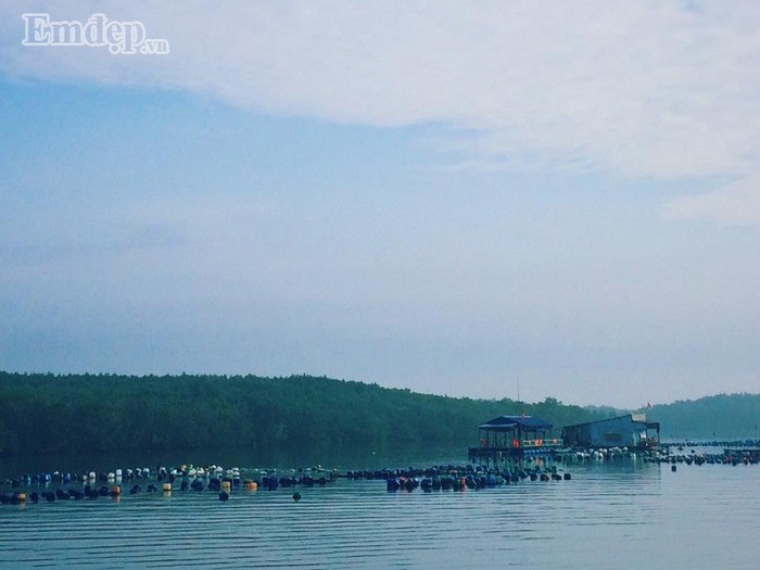 Du lịch 'siêu rẻ' ngay tại Sài Gòn với đảo Thạnh An