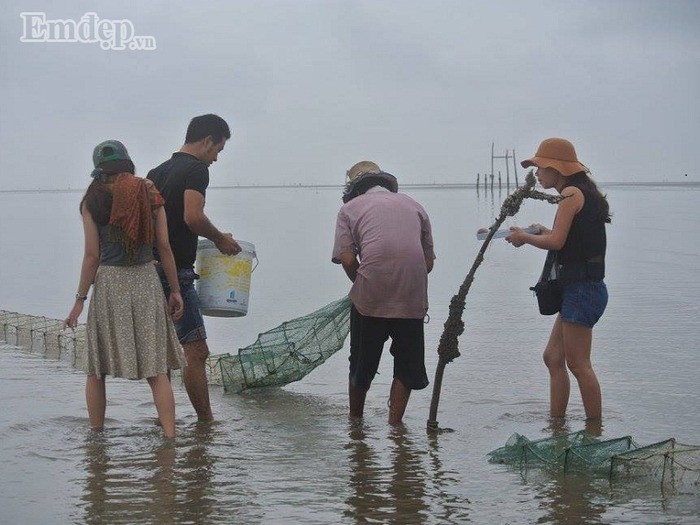 Du lịch siêu rẻ ngay tại Sài Gòn với đảo Thạnh An - Ảnh 6.