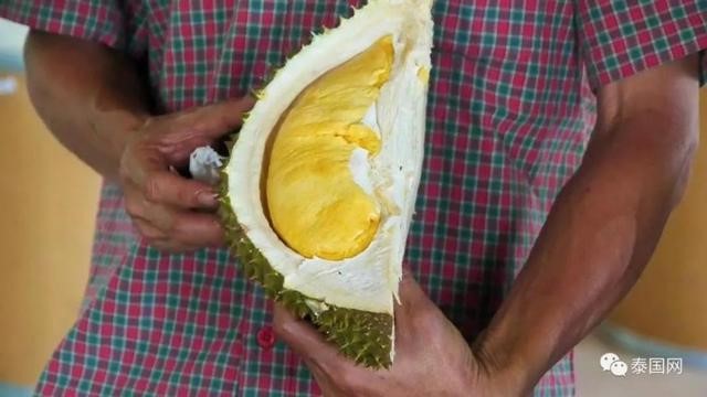 Sầu riêng không mùi đang gây sốt có gì đặc biệt? - Ảnh 5.