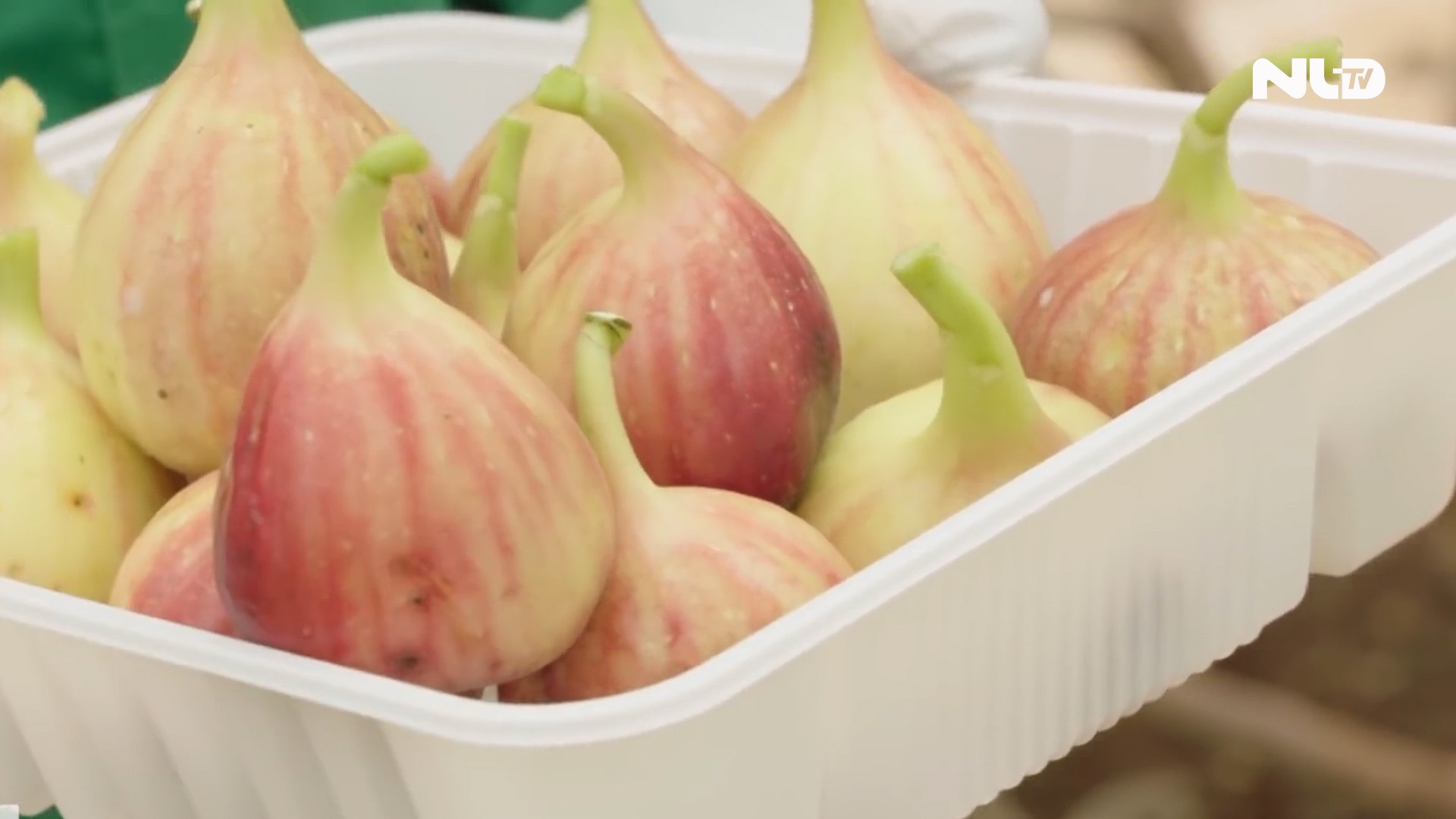 Thử ăn sung Mỹ rất thơm ngon, trồng ở Đồng Nai
