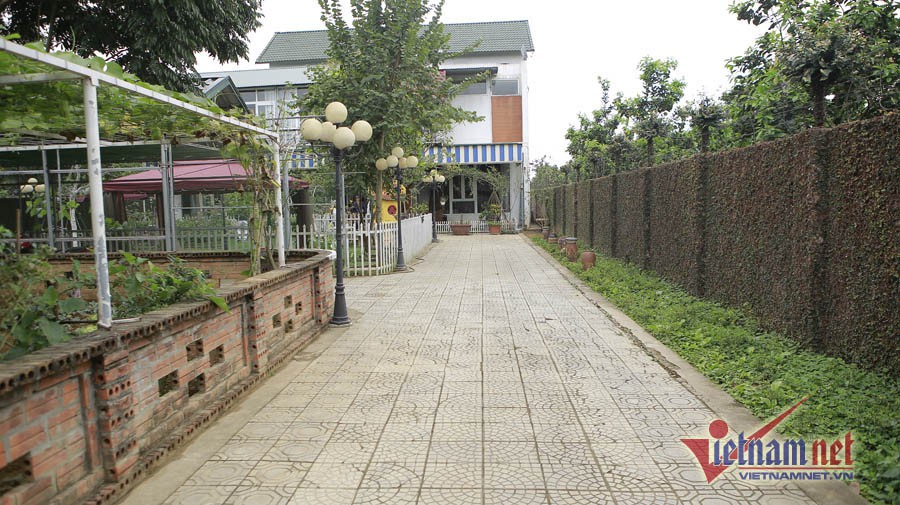 Nh&agrave; vườn rộng 1000m2 ai cũng m&ecirc; của NSND Thanh Hoa - Ảnh 2.