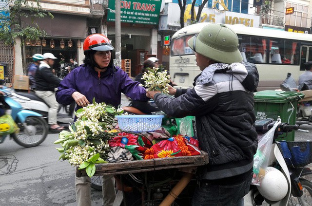  Truy t&igrave;m nguồn gốc hoa bưởi b&aacute;n đầy phố H&agrave; th&agrave;nh - Ảnh 5.
