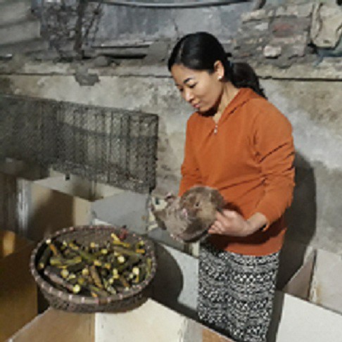 Chỉ ăn tre, nứa, mía mà 500 con này đẻ 1/2 tỷ mỗi năm - Ảnh 2.