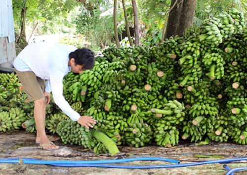  Thương l&aacute;i Trung Quốc đang l&ugrave;ng mua g&igrave; ở Việt Nam? - Ảnh 11.
