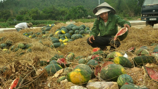  Thương l&aacute;i Trung Quốc đang l&ugrave;ng mua g&igrave; ở Việt Nam? - Ảnh 12.