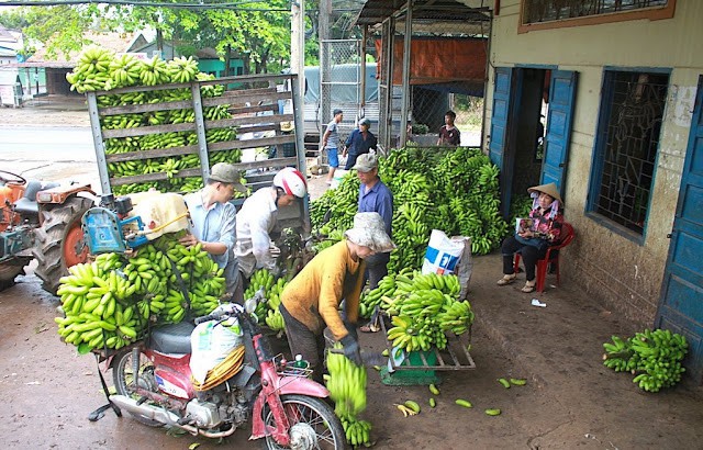  Thương l&aacute;i Trung Quốc đang l&ugrave;ng mua g&igrave; ở Việt Nam? - Ảnh 4.