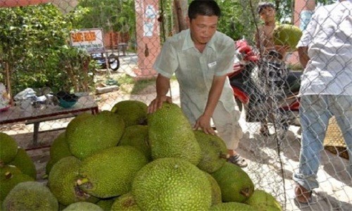  Thương l&aacute;i Trung Quốc đang l&ugrave;ng mua g&igrave; ở Việt Nam? - Ảnh 5.
