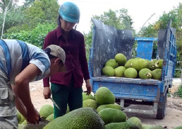 Thương lái Trung Quốc đang lùng mua gì ở Việt Nam?