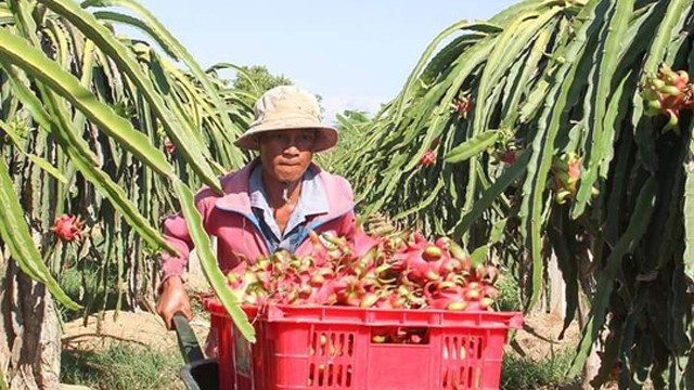  Thương l&aacute;i Trung Quốc đang l&ugrave;ng mua g&igrave; ở Việt Nam? - Ảnh 9.