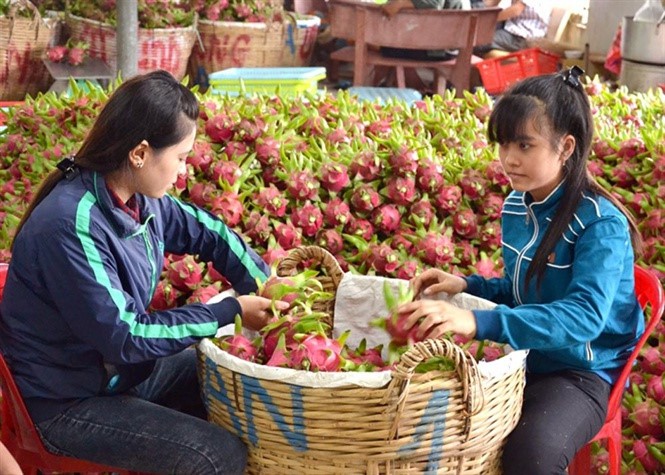  Thương l&aacute;i Trung Quốc đang l&ugrave;ng mua g&igrave; ở Việt Nam? - Ảnh 10.