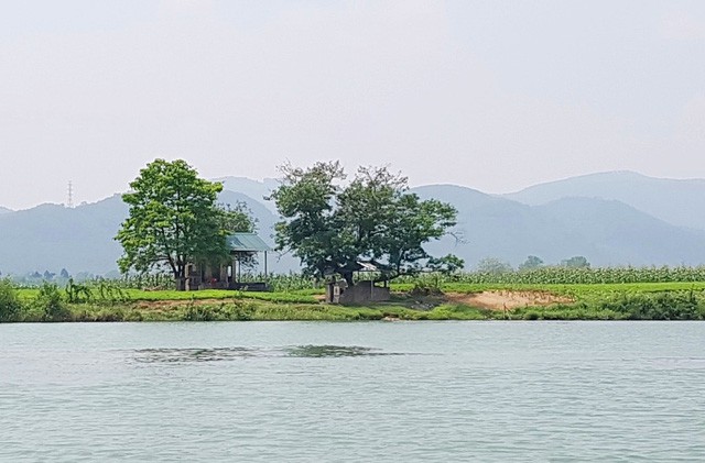 Ngắm cảnh đẹp miên man dòng sông Hương từ thuyền rồng - Ảnh 3.