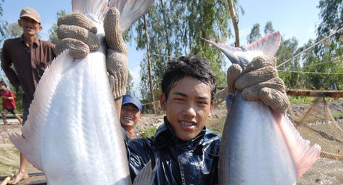 Lo hàng đi Mỹ bị "siết"