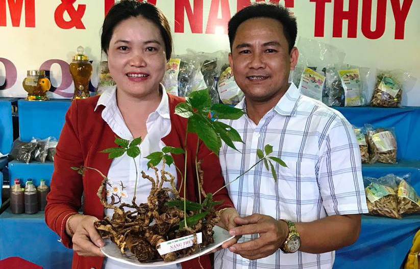 Củ sâm Ngọc Linh giá 540 triệu đồng đã có người mua
