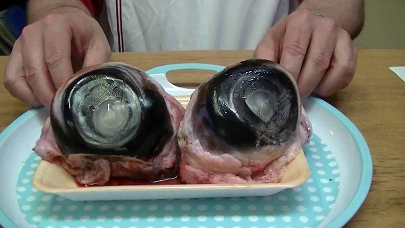H&uacute; hồn mắt c&aacute; ngừ đại dương: Kh&ocirc;ng can đảm đố d&aacute;m ăn - Ảnh 3.