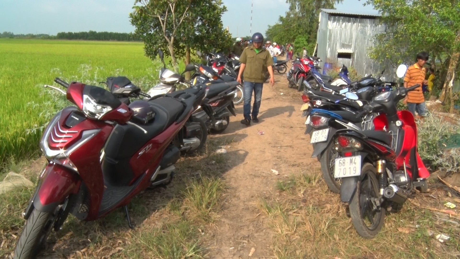 Hốt gọn ổ đ&aacute; g&agrave; b&ecirc;n bờ ruộng trong ng&agrave;y rằm th&aacute;ng Gi&ecirc;ng - Ảnh 1.