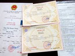 Chánh văn phòng Đảng ủy dùng chứng chỉ giả nộp lấy bằng đại học