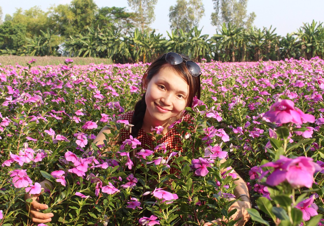 Cận cảnh c&aacute;nh đồng hoa dừa cạn vạn người m&ecirc; ở miền T&acirc;y - Ảnh 17.