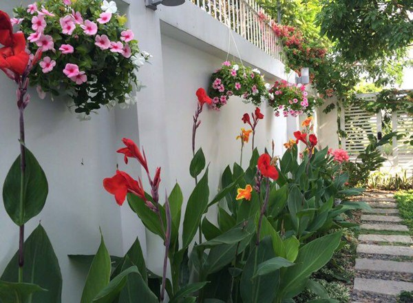 Kh&aacute;m ph&aacute; vườn bốn m&ugrave;a trong biệt thự của Quyền Linh - Ảnh 12.