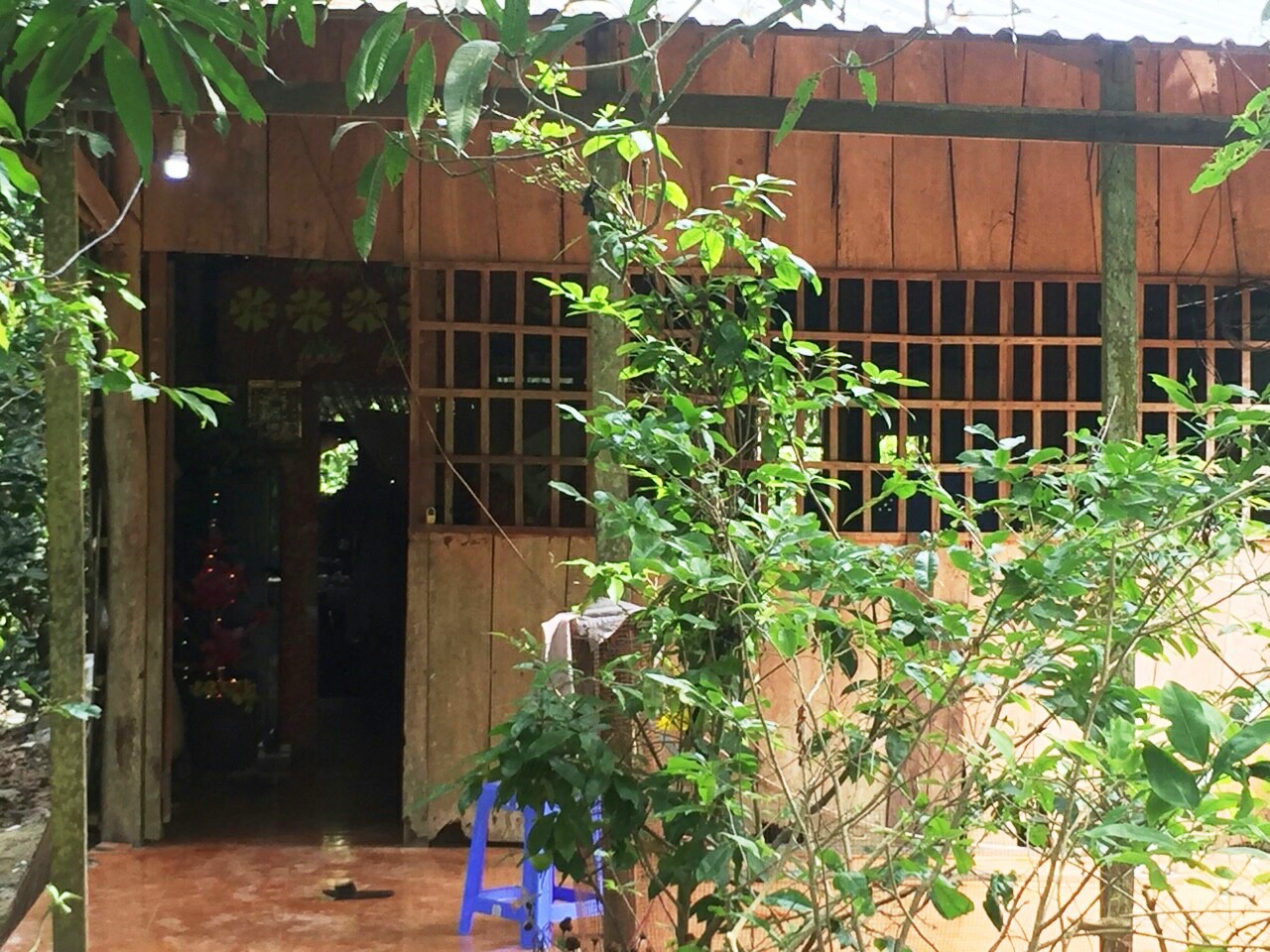 Hai vợ chồng bị đ&acirc;m l&uacute;c nửa đ&ecirc;m - Ảnh 1.