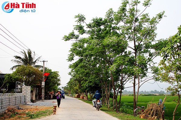 “Hoa xoan lớp lớp rụng vơi đầy” những miền quê Hà Tĩnh - Ảnh 12.