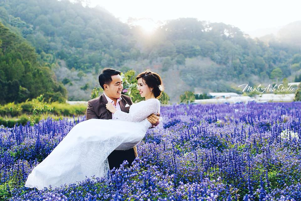 Cánh đồng hoa mới toanh ở Đà Lạt đốn tim giới trẻ - Ảnh 5.