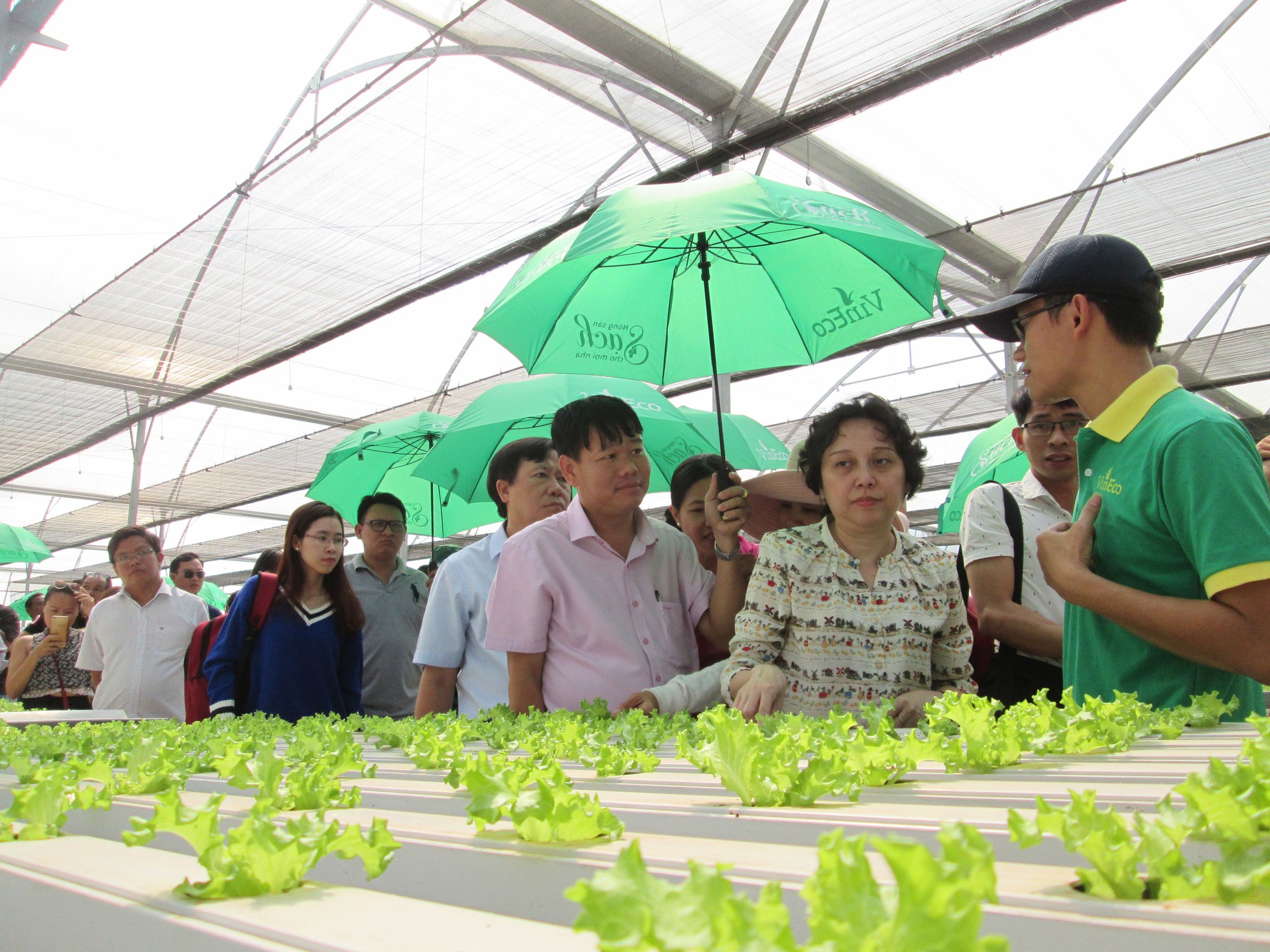 VinEco đạt chứng nhận Chuỗi thực phẩm an toàn