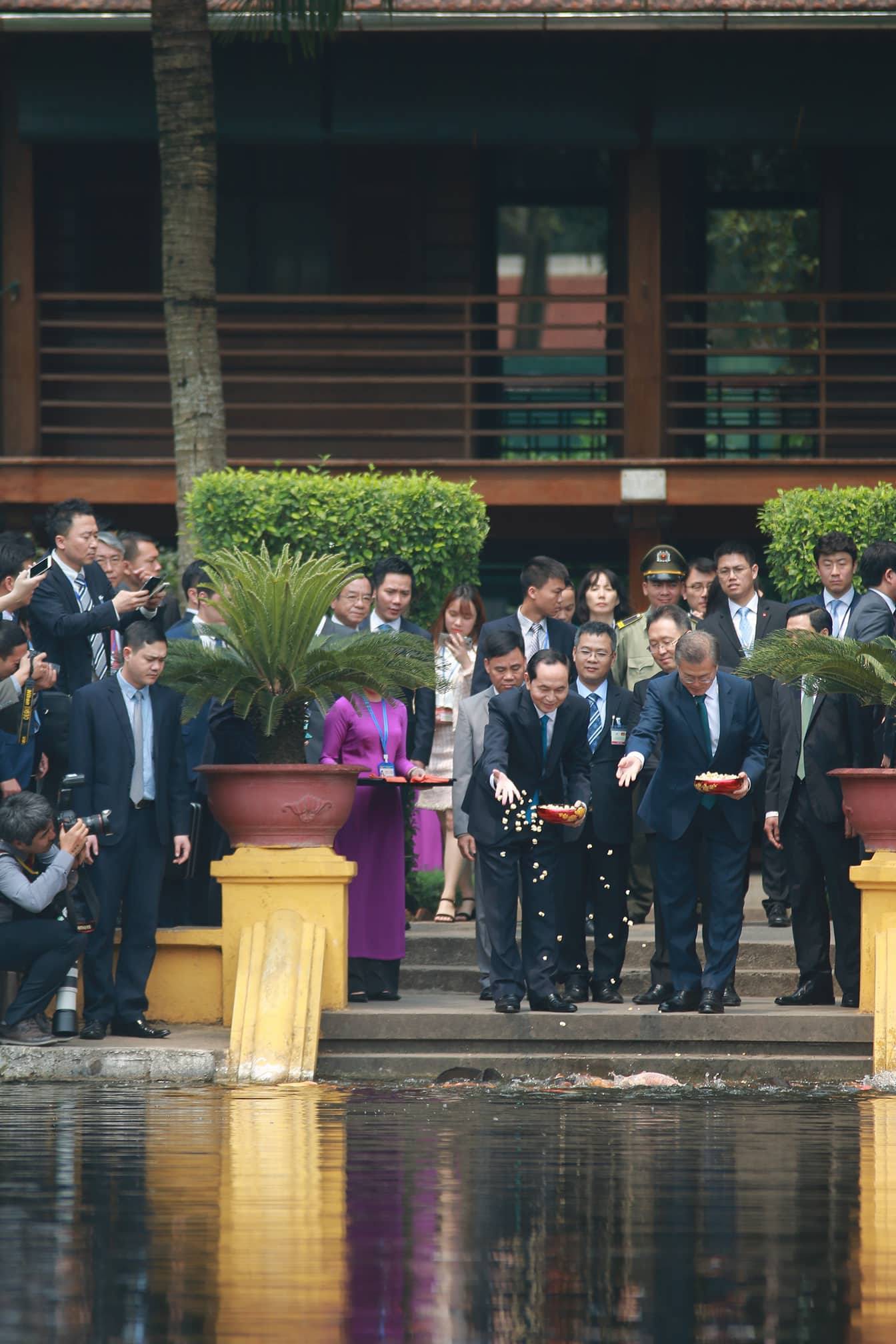Tổng thống H&agrave;n Quốc Moon Jae In cho c&aacute; ăn tại ao c&aacute; B&aacute;c Hồ - Ảnh 3.