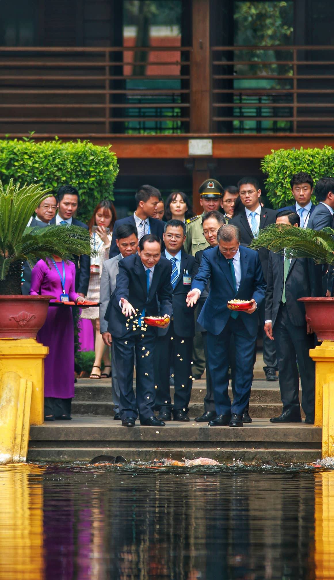 Tổng thống H&agrave;n Quốc Moon Jae In cho c&aacute; ăn tại ao c&aacute; B&aacute;c Hồ - Ảnh 4.