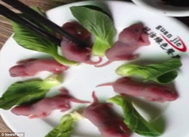 “Khóc thét” với đặc sản chuột bao tử sống chỉ có ở Trung Quốc