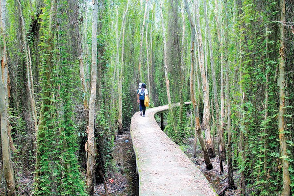 Thảnh thơi “đường tình yêu” ở Tân Lập
