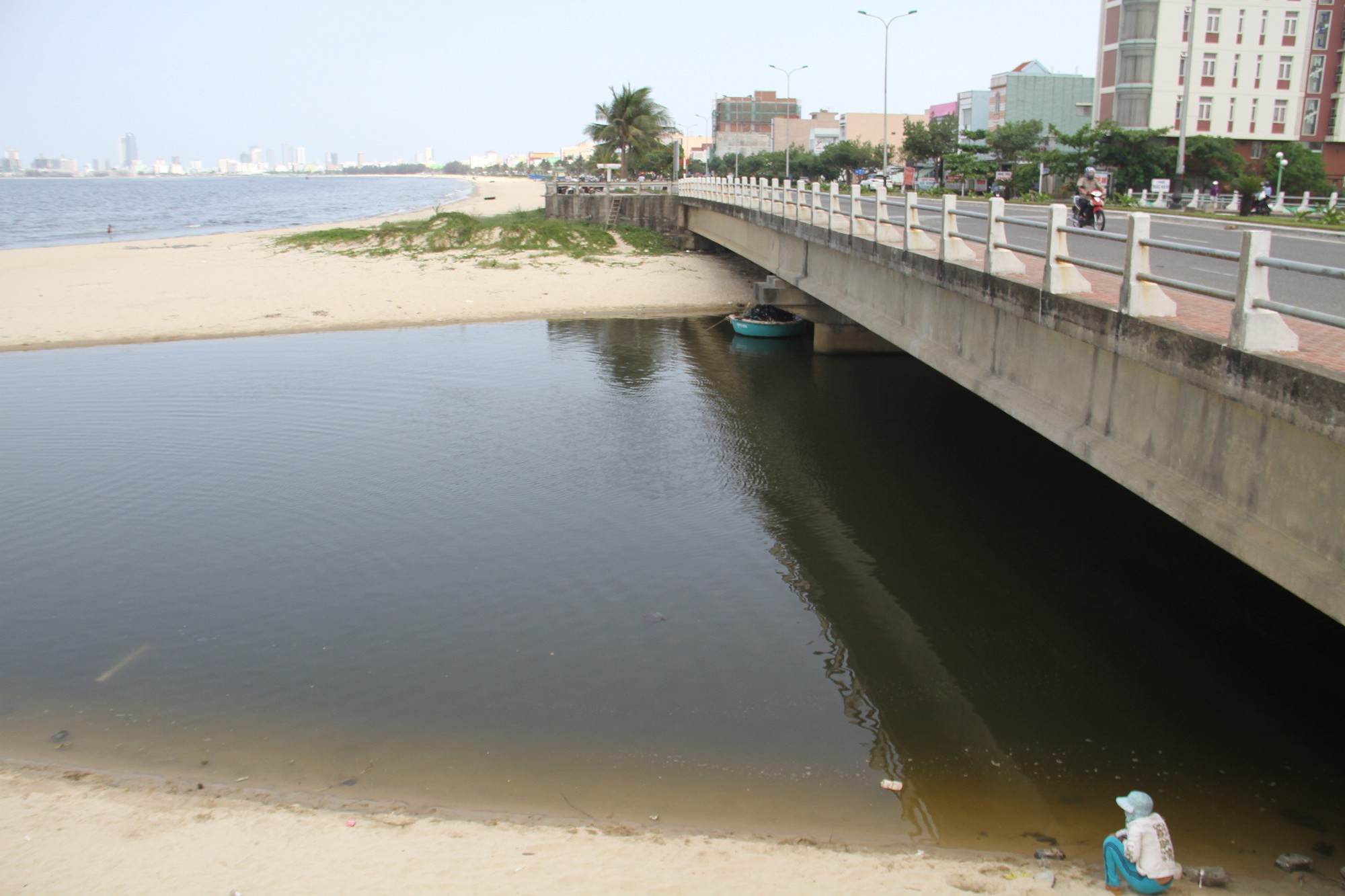 Hơn 3 km biển Đà Nẵng đổi màu sẫm và bốc mùi hôi - Ảnh 8.