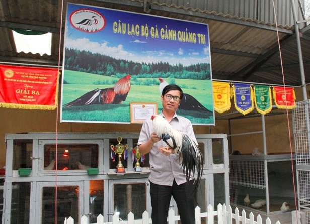 Quý tộc gà cảnh quan trọng phải có thần thái, giá ngàn đô/con - Ảnh 5.