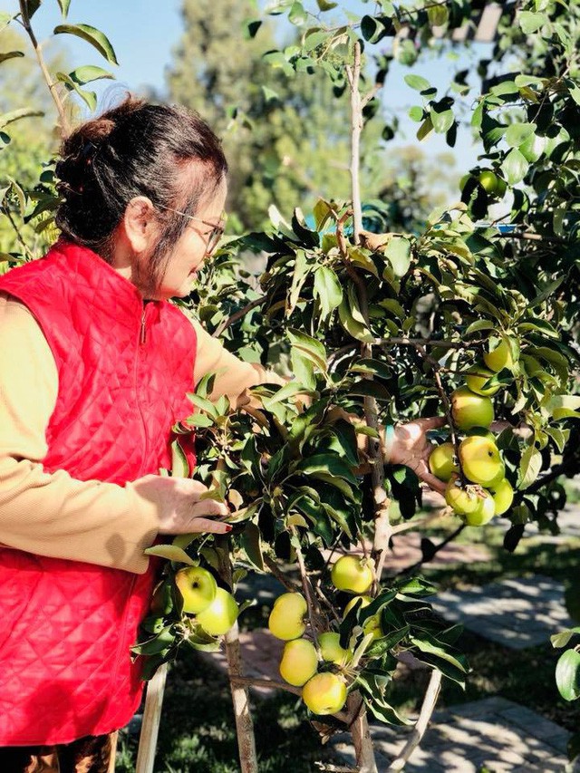 Khu vườn thơm ngát hương hoa, rau củ của Bằng Kiều - Ảnh 12.