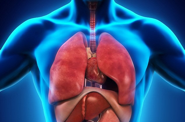Phát hiện mạng chất lỏng là đường ung thư di căn