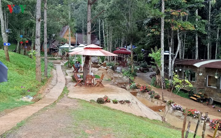 Trải nghiệm &ldquo;chuyến t&agrave;u c&agrave; ph&ecirc;&rdquo; độc nhất v&ocirc; nhị ở Đ&agrave; Lạt - Ảnh 5.