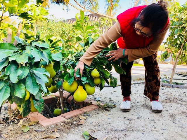Khu vườn thơm ngát hương hoa, rau củ của Bằng Kiều - Ảnh 5.