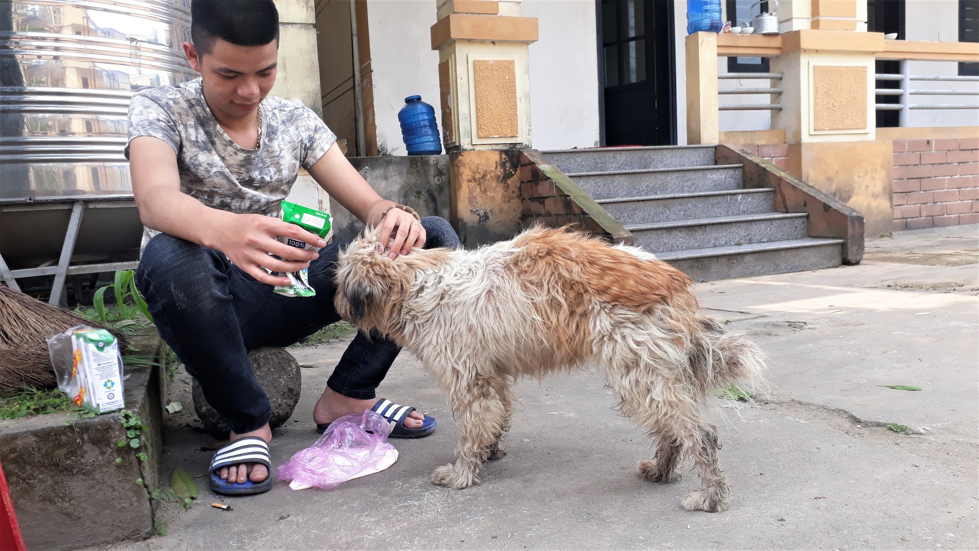 Người d&acirc;n bật kh&oacute;c khi nhận lại th&uacute; cưng bị nh&oacute;m thanh ni&ecirc;n trộm b&aacute;n - Ảnh 2.