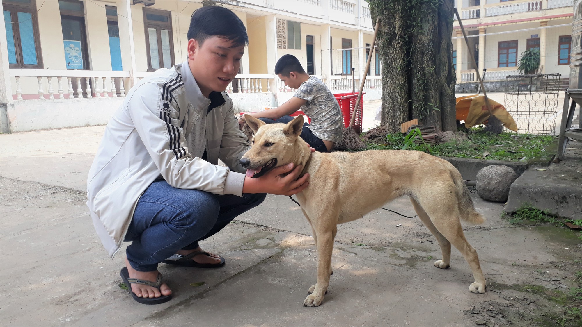 Người d&acirc;n bật kh&oacute;c khi nhận lại th&uacute; cưng bị nh&oacute;m thanh ni&ecirc;n trộm b&aacute;n - Ảnh 3.
