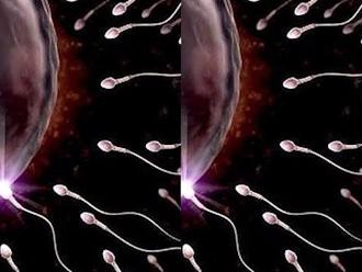 16 điều thú vị về tinh trùng có thể bạn chưa biết
