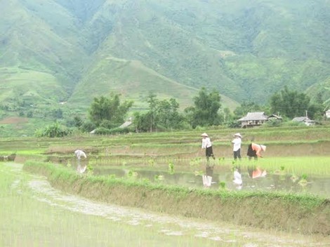 Du lịch Lai Ch&acirc;u: 7 địa danh đẹp, độc, lạ đến nao l&ograve;ng - Ảnh 4.